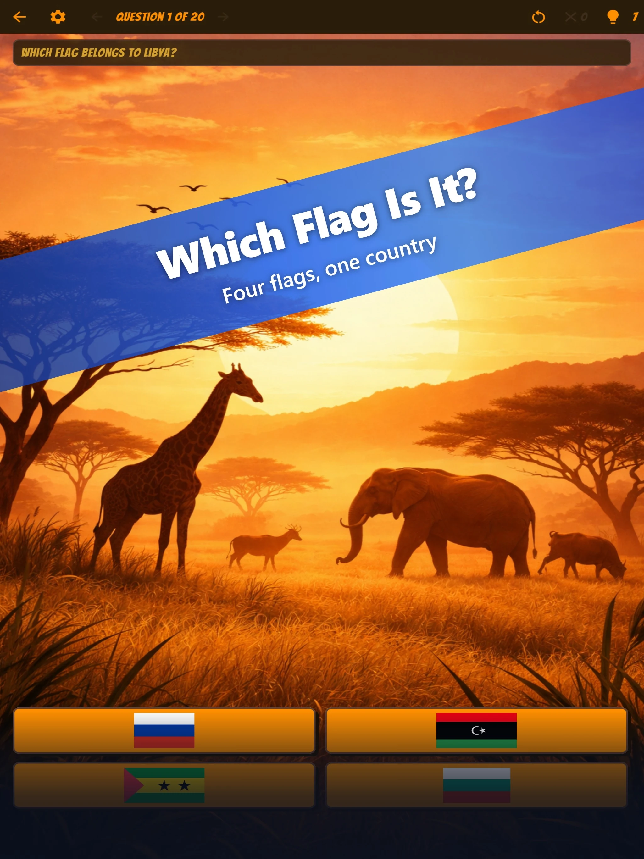 Flag Quiz: Countries & World screenshot